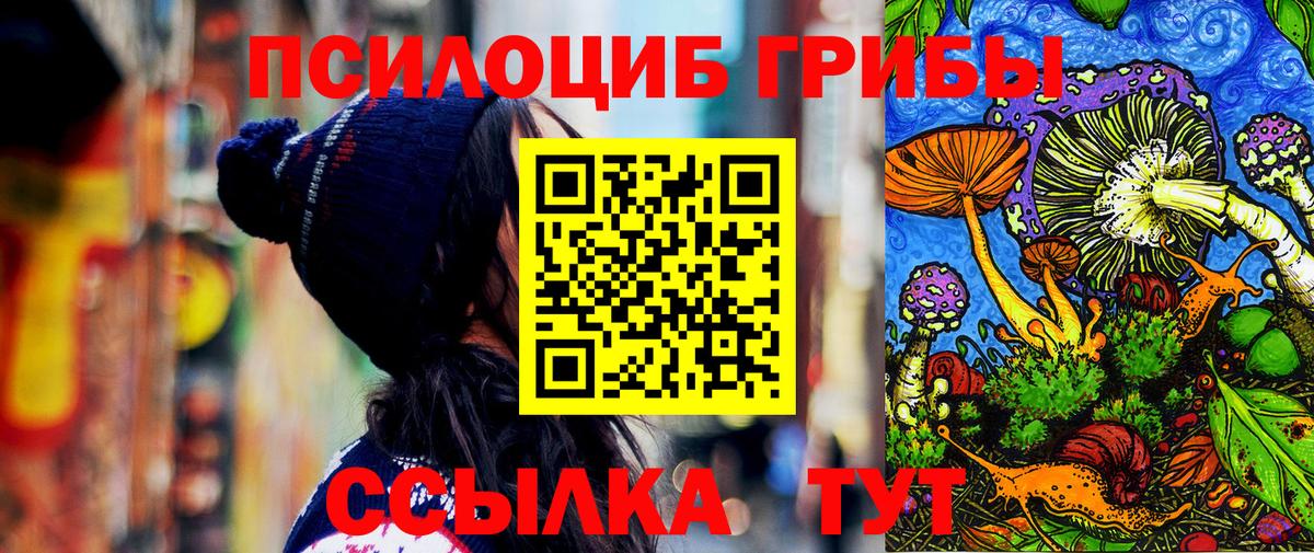 Псилоцибиновые грибы Psilocybe  Галлюциногенные грибы GOLDEN TEACHER  Назрань  Вход с VPN 