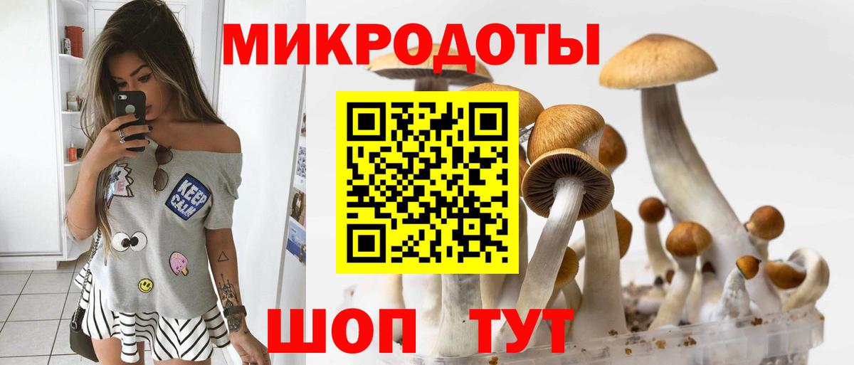 Галлюциногенные грибы Psilocybe Назрань